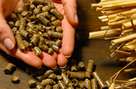 free Castlegreen biomass boiler quotes