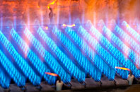 Castlegreen gas fired boilers